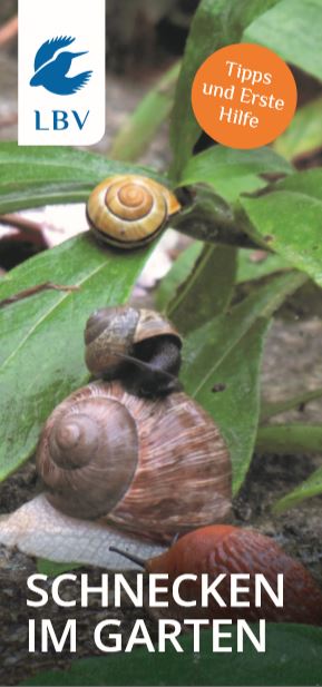 Schnecken im Garten LBV Gemeinsam Bayerns Natur schützen LBV